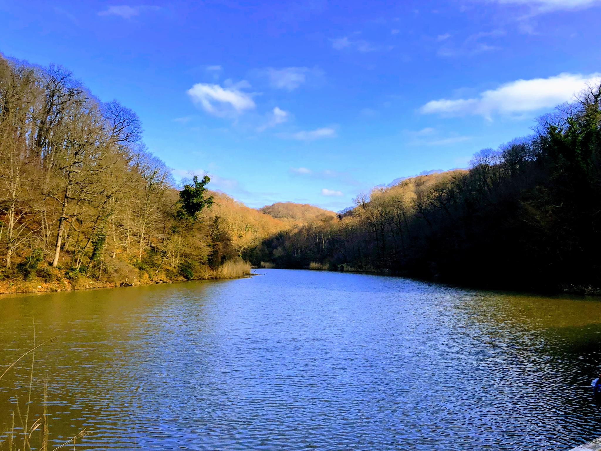 Hiking in Belgrad Forest