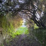 Hiking in Loures Forest